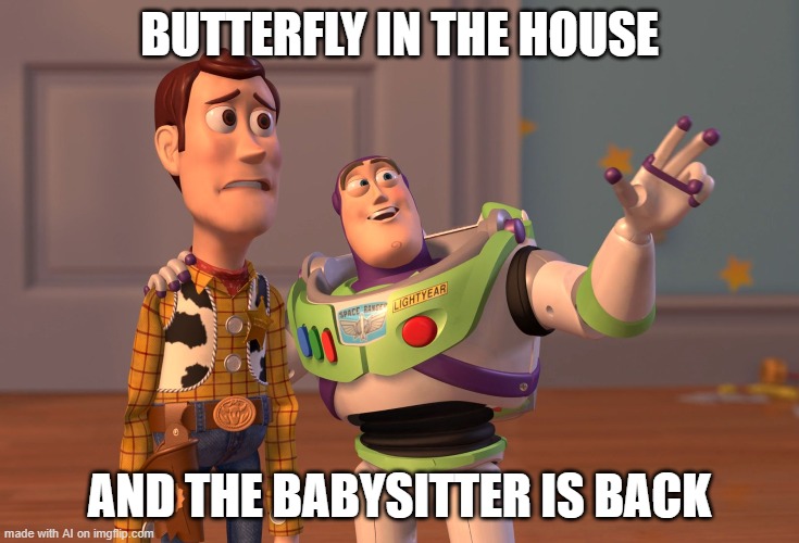 X, X Everywhere | BUTTERFLY IN THE HOUSE; AND THE BABYSITTER IS BACK | image tagged in memes,x x everywhere | made w/ Imgflip meme maker