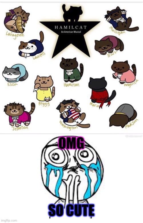 Hamilcats | OMG; SO CUTE | image tagged in memes,crying because of cute | made w/ Imgflip meme maker