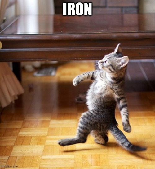 Cat Walking Like A Boss | IRON | image tagged in cat walking like a boss | made w/ Imgflip meme maker