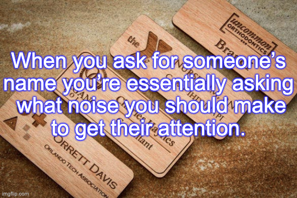 Just Sayin' | When you ask for someone’s name you’re essentially asking
 what noise you should make
to get their attention. | image tagged in name | made w/ Imgflip meme maker
