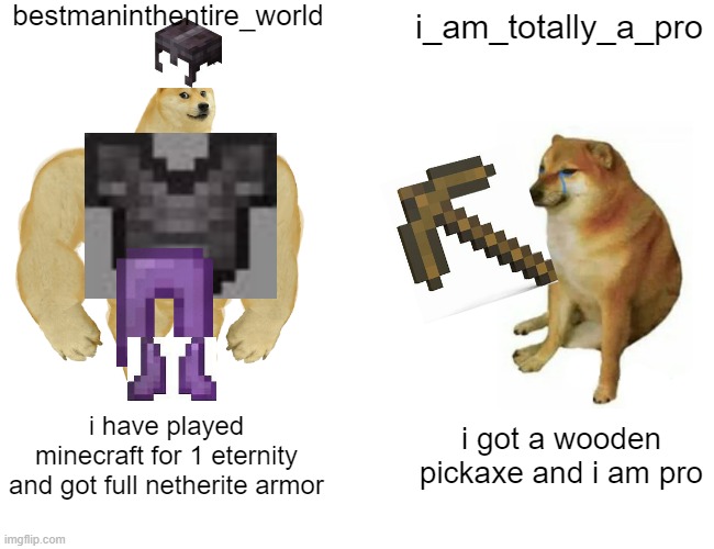 Buff Doge vs. Cheems Meme | bestmaninthentire_world; i_am_totally_a_pro; i have played minecraft for 1 eternity and got full netherite armor; i got a wooden pickaxe and i am pro | image tagged in memes,buff doge vs cheems | made w/ Imgflip meme maker