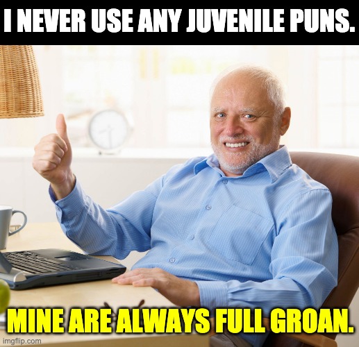 Puns | I NEVER USE ANY JUVENILE PUNS. MINE ARE ALWAYS FULL GROAN. | image tagged in hide the pain harold | made w/ Imgflip meme maker