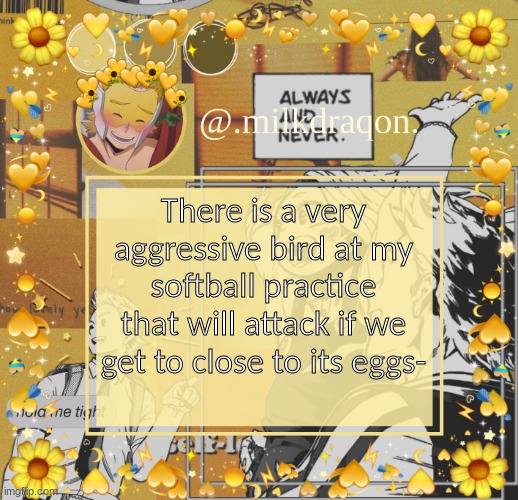 This bird camo's its eggs and doesn't lay it in a tree- | There is a very aggressive bird at my softball practice that will attack if we get to close to its eggs- | image tagged in milkdraqon announcments | made w/ Imgflip meme maker