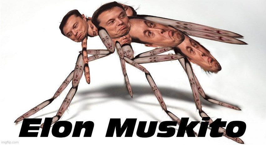 *DIES OF LAUGHETER | image tagged in memes,funny,elon musk,mosquito,lmao | made w/ Imgflip meme maker