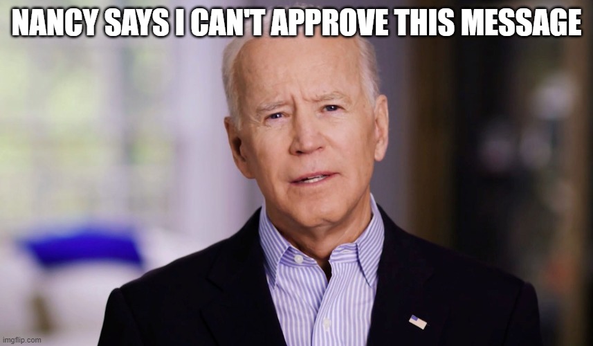 Joe Biden 2020 | NANCY SAYS I CAN'T APPROVE THIS MESSAGE | image tagged in joe biden 2020 | made w/ Imgflip meme maker