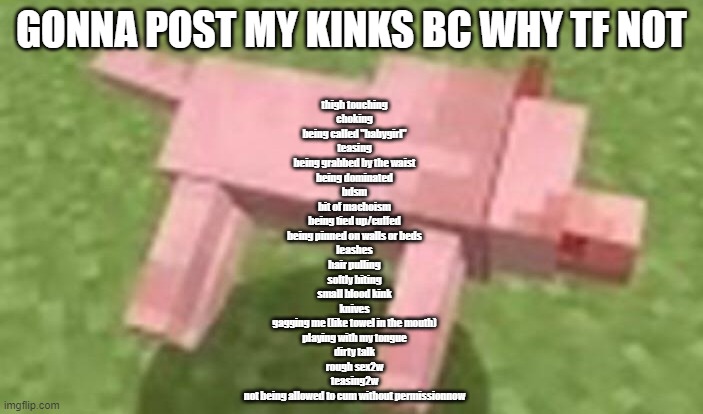 minecraft dog dying | GONNA POST MY KINKS BC WHY TF NOT; thigh touching
choking
being called "babygirl"
teasing
being grabbed by the waist
being dominated
bdsm
bit of machoism
being tied up/cuffed
being pinned on walls or beds
leashes
hair pulling
softly biting
small blood kink
knives
gagging me (like towel in the mouth)
playing with my tongue
dirty talk
rough sex2w
teasing2w
not being allowed to cum without permissionnow | image tagged in minecraft dog dying | made w/ Imgflip meme maker