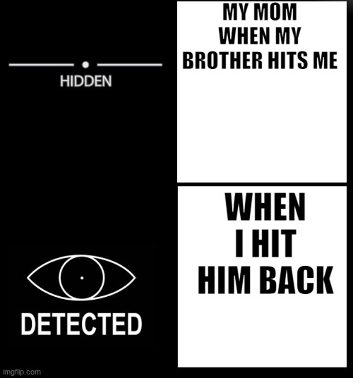 Hidden Detected | MY MOM WHEN MY BROTHER HITS ME; WHEN I HIT HIM BACK | image tagged in hidden detected | made w/ Imgflip meme maker