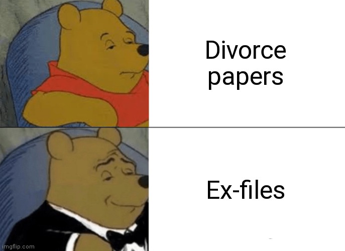 Tuxedo Winnie The Pooh Meme | Divorce papers; Ex-files | image tagged in memes,tuxedo winnie the pooh | made w/ Imgflip meme maker