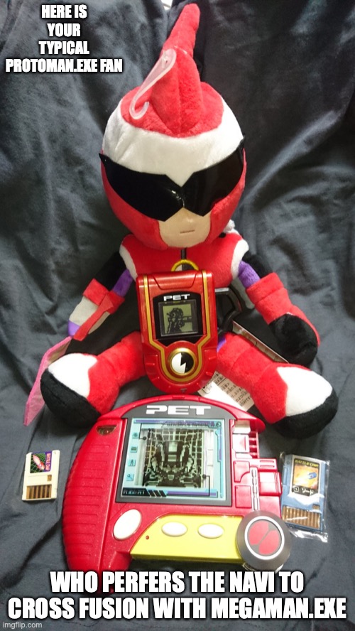 Typical Protoman.EXE Fan | HERE IS YOUR TYPICAL PROTOMAN.EXE FAN; WHO PERFERS THE NAVI TO CROSS FUSION WITH MEGAMAN.EXE | image tagged in megaman,megaman battle network,memes | made w/ Imgflip meme maker