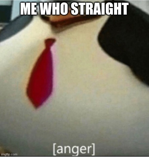 [anger] | ME WHO STRAIGHT | image tagged in anger | made w/ Imgflip meme maker