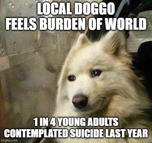 Dogs Don't Like It When Humans Suicide | image tagged in sad dog,suicide,cdc | made w/ Imgflip meme maker