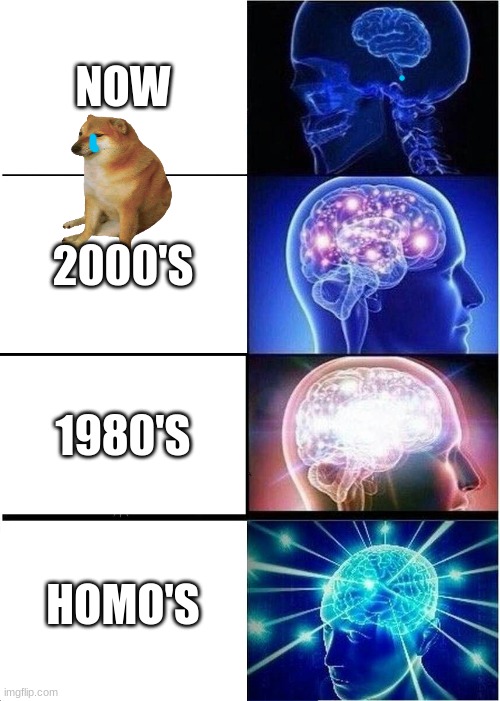 how smart | NOW; 2000'S; 1980'S; HOMO'S | image tagged in memes,expanding brain | made w/ Imgflip meme maker