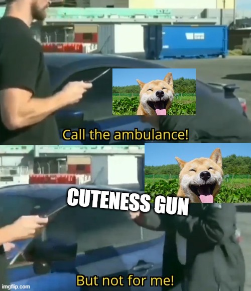 Call an ambulance but not for me | CUTENESS GUN | image tagged in call an ambulance but not for me | made w/ Imgflip meme maker