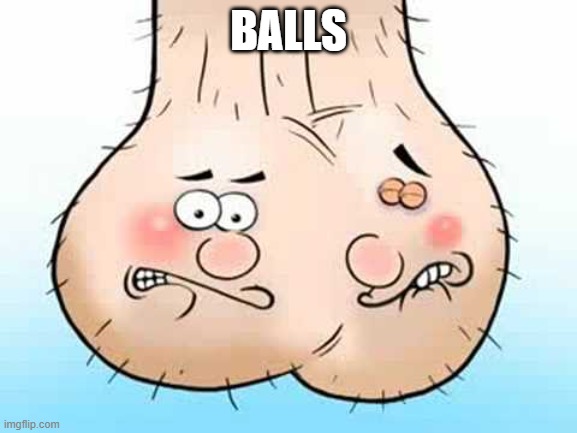 Testicles - balls | BALLS | image tagged in testicles - balls | made w/ Imgflip meme maker