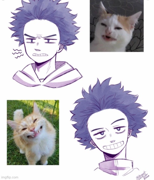 How shinsou is so similar with cats | image tagged in cats,mha,funny | made w/ Imgflip meme maker