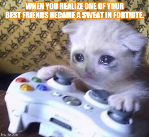 Don't hate me | WHEN YOU REALIZE ONE OF YOUR BEST FRIENDS BECAME A SWEAT IN FORTNITE. | image tagged in crying cat xbox | made w/ Imgflip meme maker