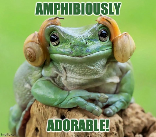  AMPHIBIOUSLY; ADORABLE! | image tagged in cute,frog,amphibian,snails | made w/ Imgflip meme maker