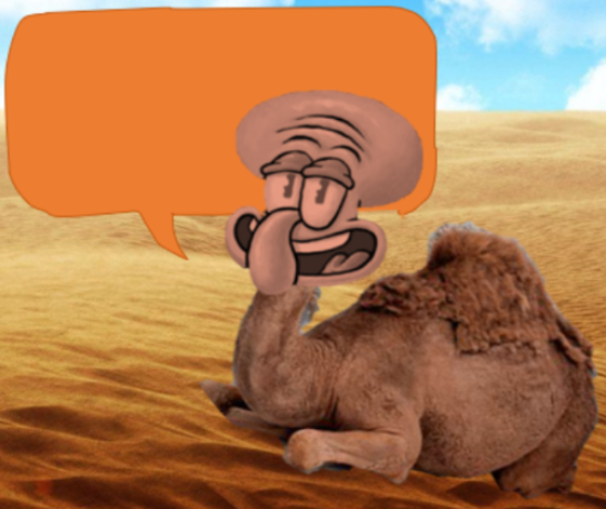 fun facts with camel squid Blank Meme Template