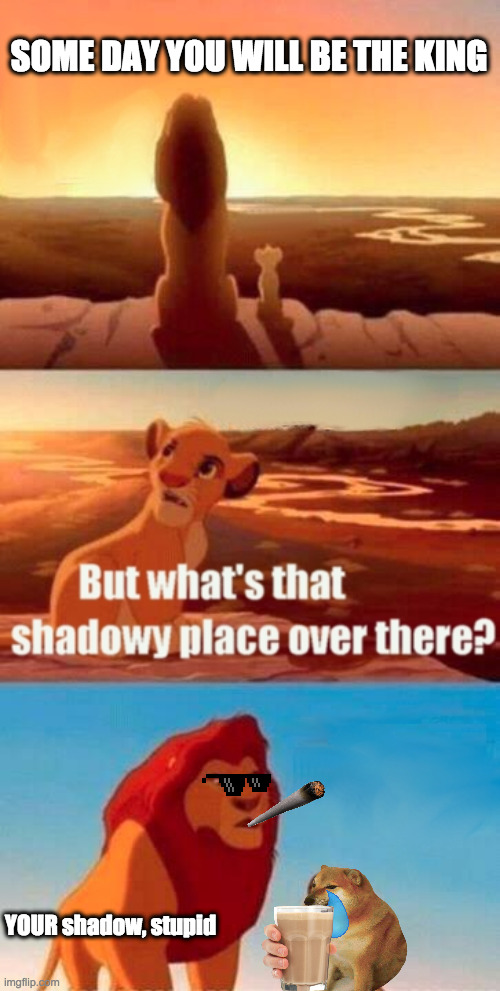 lol | SOME DAY YOU WILL BE THE KING; YOUR shadow, stupid | image tagged in memes,simba shadowy place | made w/ Imgflip meme maker