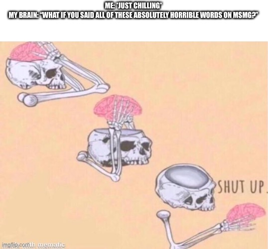 skeleton shut up meme | ME: *JUST CHILLING*
MY BRAIN: “WHAT IF YOU SAID ALL OF THESE ABSOLUTELY HORRIBLE WORDS ON MSMG?” | image tagged in skeleton shut up meme | made w/ Imgflip meme maker