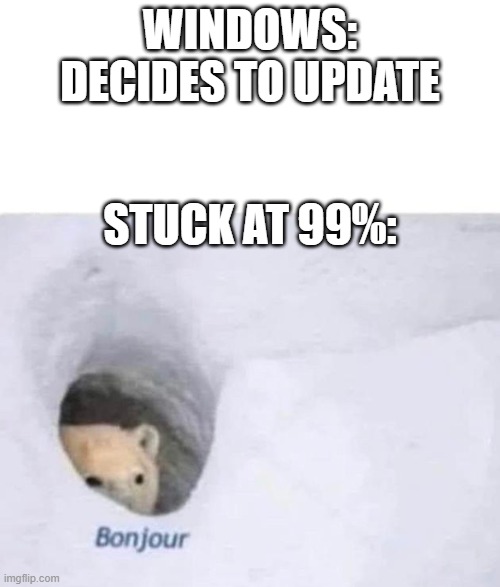 Bonjour | WINDOWS: DECIDES TO UPDATE; STUCK AT 99%: | image tagged in bonjour | made w/ Imgflip meme maker