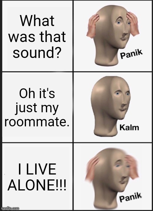 Panik Kalm Panik | What was that sound? Oh it's just my roommate. I LIVE ALONE!!! | image tagged in memes,panik kalm panik | made w/ Imgflip meme maker