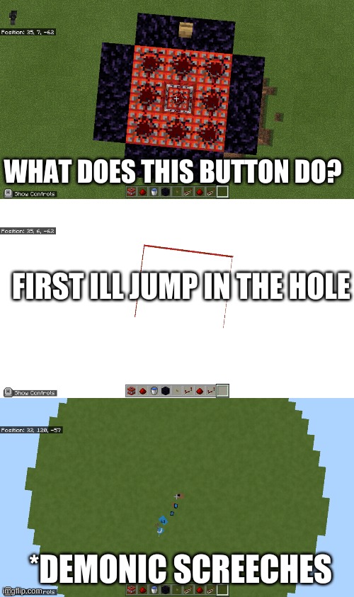WHAT DOES THIS BUTTON DO? FIRST ILL JUMP IN THE HOLE; *DEMONIC SCREECHES | made w/ Imgflip meme maker