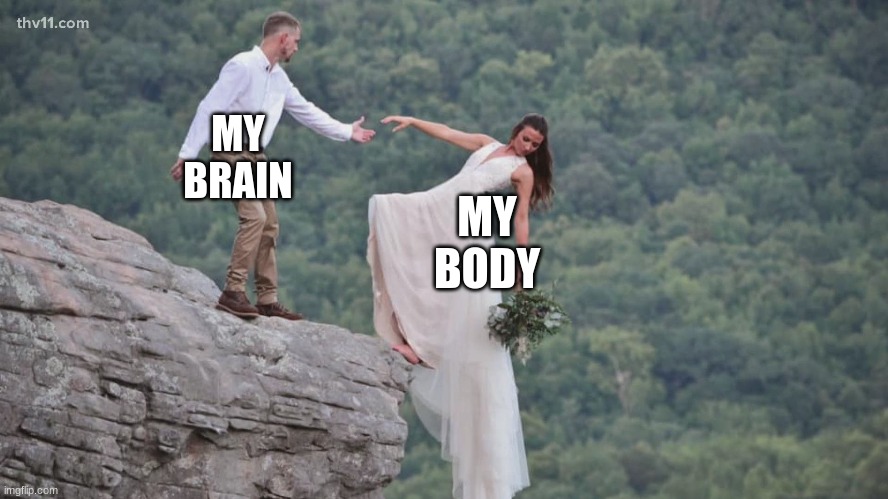 falling wife | MY BRAIN; MY BODY | image tagged in memes | made w/ Imgflip meme maker