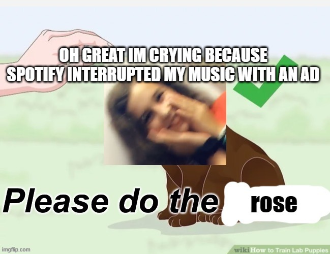 OH GREAT IM CRYING BECAUSE SPOTIFY INTERRUPTED MY MUSIC WITH AN AD | image tagged in please do the rose | made w/ Imgflip meme maker