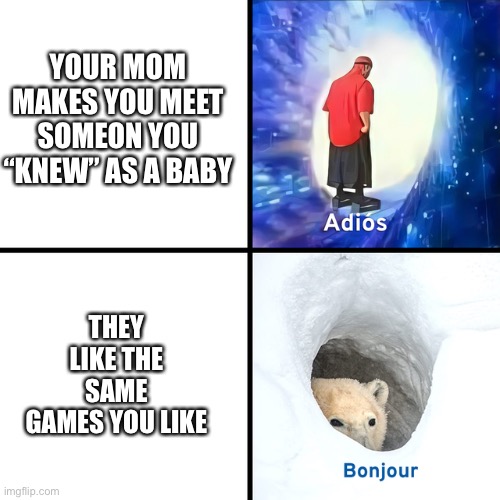 Adios Bonjour | YOUR MOM MAKES YOU MEET SOMEON YOU “KNEW” AS A BABY; THEY LIKE THE SAME GAMES YOU LIKE | image tagged in adios bonjour | made w/ Imgflip meme maker