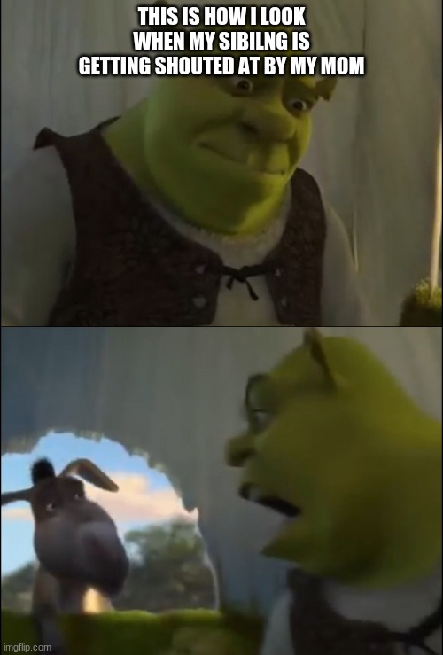 Shrek yelling at donkey | THIS IS HOW I LOOK WHEN MY SIBILNG IS GETTING SHOUTED AT BY MY MOM | image tagged in shrek yelling at donkey | made w/ Imgflip meme maker