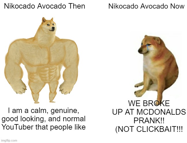 Buff Doge vs. Cheems Meme | Nikocado Avocado Then; Nikocado Avocado Now; WE BROKE UP AT MCDONALDS PRANK!! (NOT CLICKBAIT!!! I am a calm, genuine, good looking, and normal YouTuber that people like | image tagged in memes,buff doge vs cheems | made w/ Imgflip meme maker