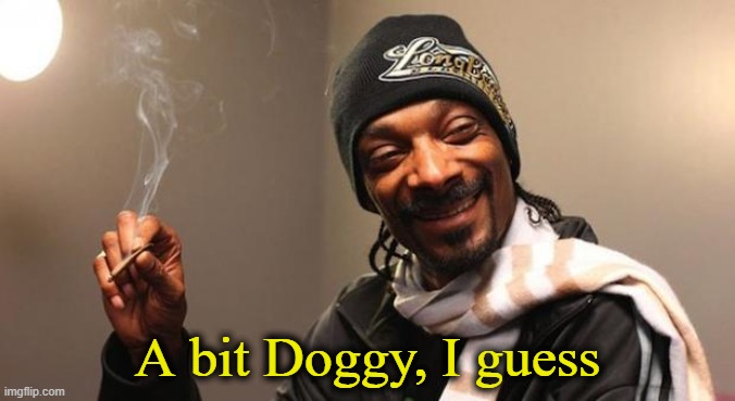 Snoop Dogg | A bit Doggy, I guess | image tagged in snoop dogg | made w/ Imgflip meme maker