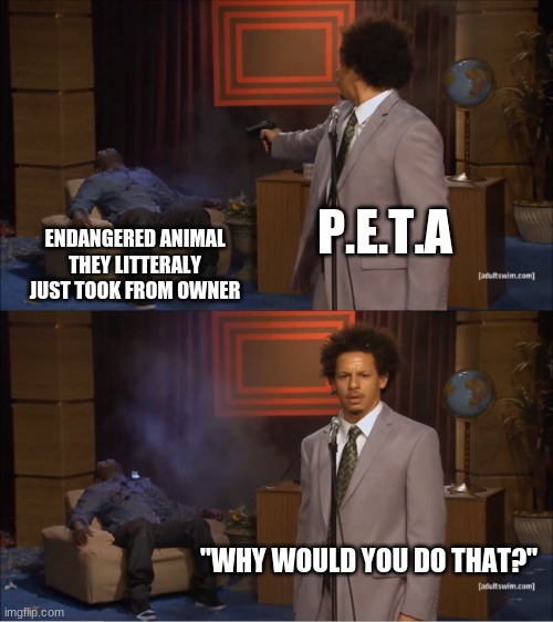 Who Killed Hannibal Meme | P.E.T.A; ENDANGERED ANIMAL THEY LITTERALY JUST TOOK FROM OWNER; "WHY WOULD YOU DO THAT?" | image tagged in memes,who killed hannibal,gif,funny memes,peta,idiots | made w/ Imgflip meme maker