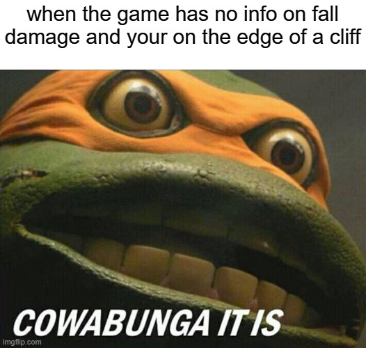 Cowabunga it is | when the game has no info on fall damage and your on the edge of a cliff | image tagged in cowabunga it is | made w/ Imgflip meme maker