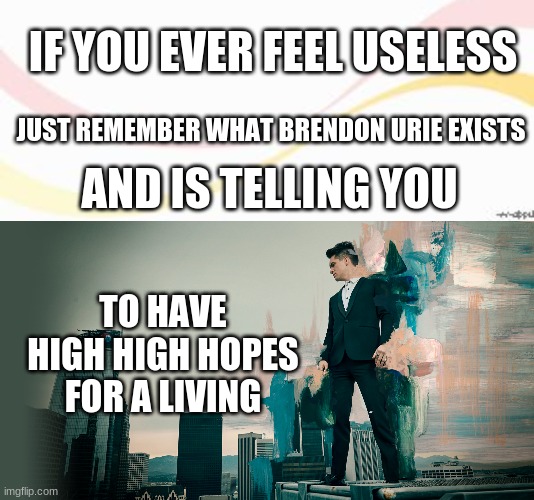 Happiness exists | IF YOU EVER FEEL USELESS; JUST REMEMBER WHAT BRENDON URIE EXISTS; AND IS TELLING YOU; TO HAVE HIGH HIGH HOPES FOR A LIVING | image tagged in happy,hope | made w/ Imgflip meme maker