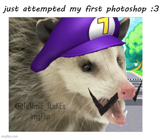 I call it WaluPossum | just attempted my first photoshop :3 | image tagged in blank white template,photoshop | made w/ Imgflip meme maker