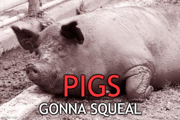 PIGS; GONNA SQUEAL | made w/ Imgflip meme maker