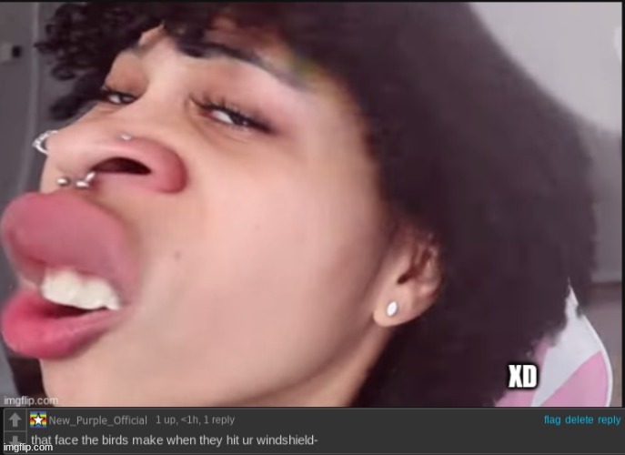 XD | made w/ Imgflip meme maker