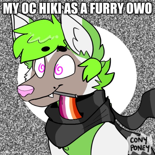 yes i still used a picrew | MY OC HIKI AS A FURRY OWO | made w/ Imgflip meme maker