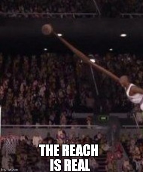 Reaching | THE REACH 
IS REAL | image tagged in space jam reach | made w/ Imgflip meme maker