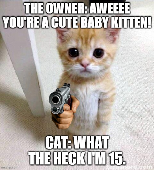 Isn't that all we do? | THE OWNER: AWEEEE YOU'RE A CUTE BABY KITTEN! CAT: WHAT THE HECK I'M 15. | image tagged in memes,cute cat | made w/ Imgflip meme maker