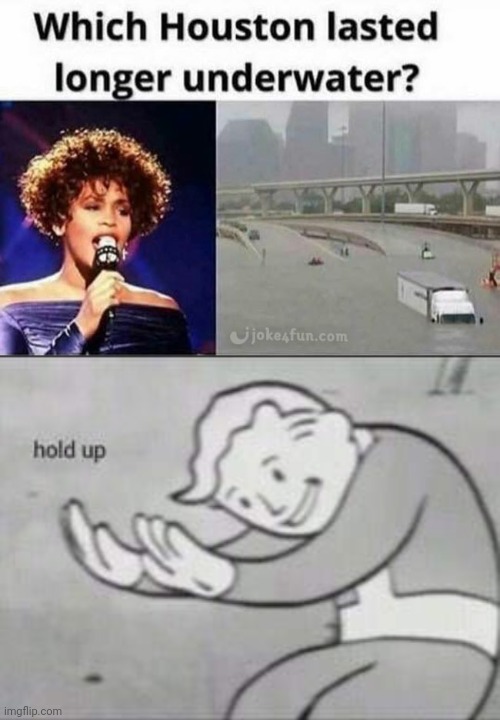 This ain't right | image tagged in fallout hold up,whitney houston,hurricane,offensive,dark humor | made w/ Imgflip meme maker