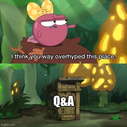 e | Q&A | image tagged in i think you way overhyped this place | made w/ Imgflip meme maker