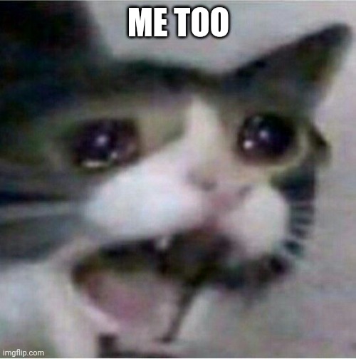 crying cat | ME TOO | image tagged in crying cat | made w/ Imgflip meme maker