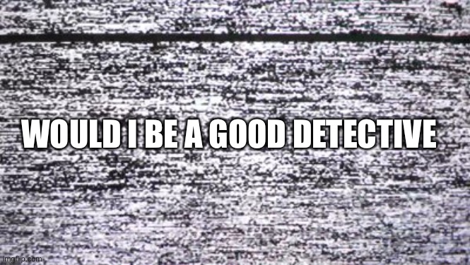 télévision vhs | WOULD I BE A GOOD DETECTIVE | image tagged in t l vision vhs | made w/ Imgflip meme maker