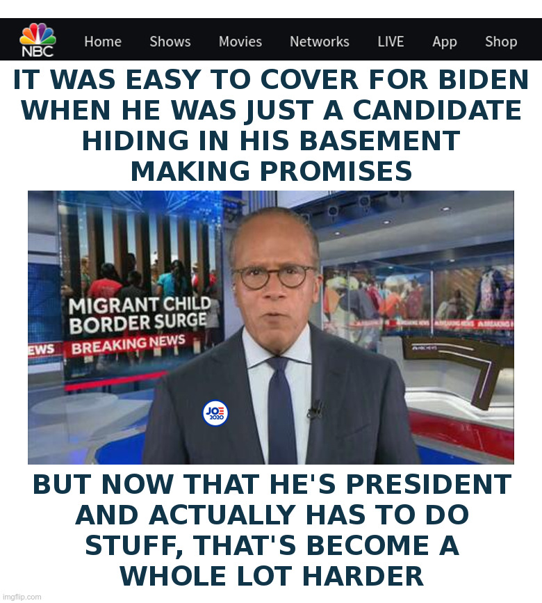 Mainstream Media Covering For Joe Biden | image tagged in joe biden,dementia,stairs,open borders,immigrant children,illegal immigration | made w/ Imgflip meme maker