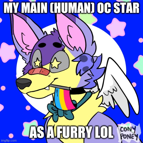 i actually love how this turned out o3o | MY MAIN (HUMAN) OC STAR; AS A FURRY LOL | made w/ Imgflip meme maker