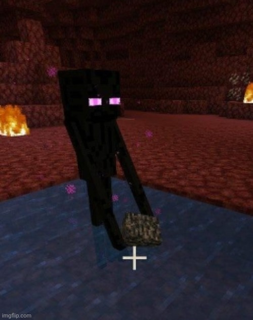 1st meme on chicken-nuggies lolololol | image tagged in enderman holding bedrock in water in the nether | made w/ Imgflip meme maker