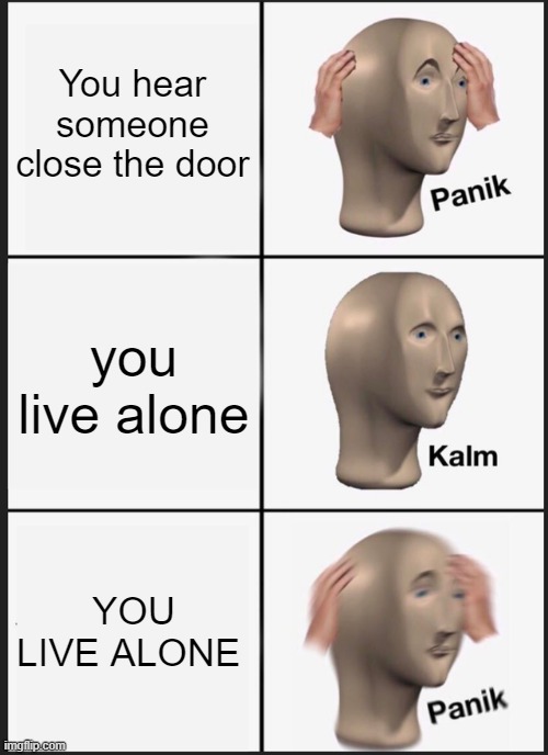 Panik Kalm Panik Meme | You hear someone close the door; you live alone; YOU LIVE ALONE | image tagged in memes,panik kalm panik | made w/ Imgflip meme maker